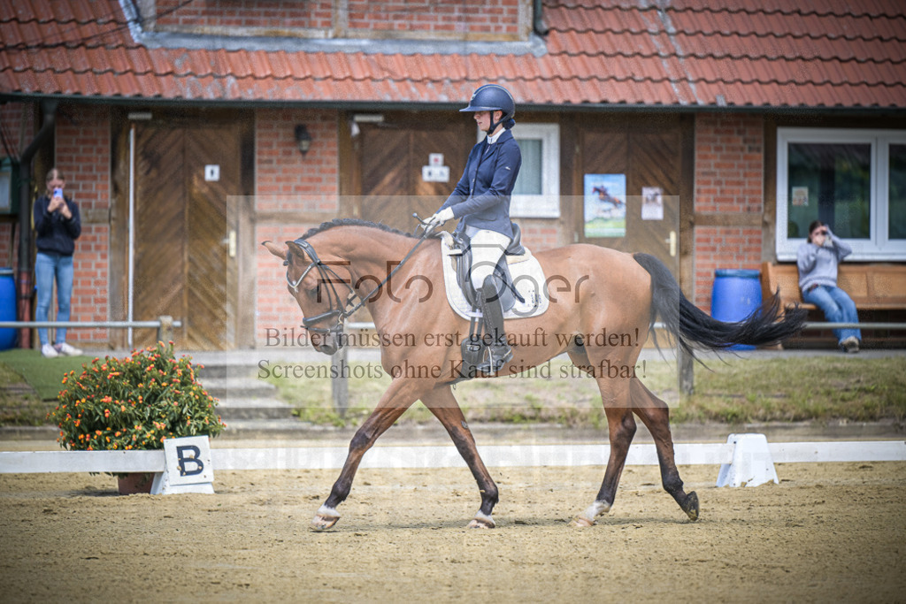 DOS_3866 | Entdecke hochwertige Reitturnierfotos von Foto Oger. Professionell, emotional und authentisch – jetzt Lieblingsmomente im Shop bestellen.Deutschlandweite Turnierfotografie. - Realisiert mit Pictrs.com