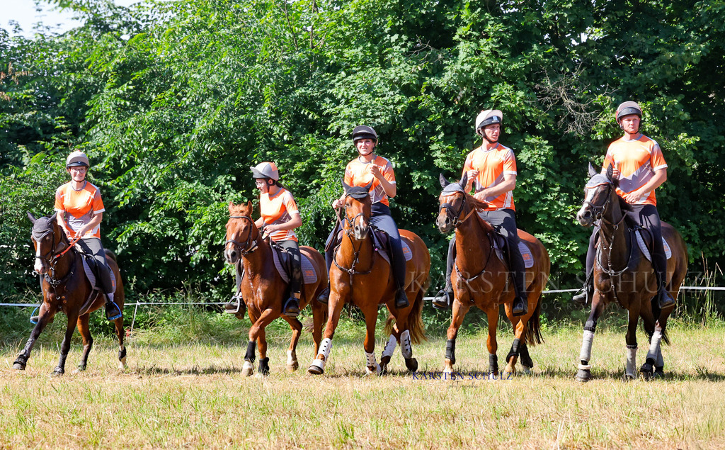 1B3A7765 | Reitsport Reiten