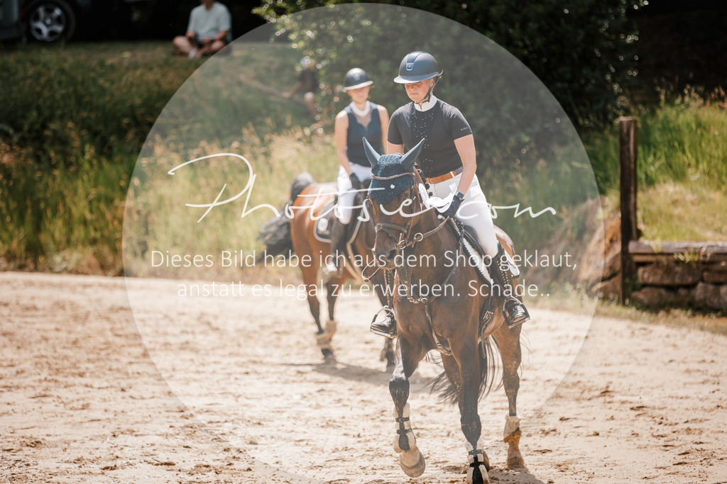 3I6A8173 | Stimmungsvolle Portraits und Reitsportfotografie im Ruhrgebiet und im Münsterland.

Pferdefotografie, Hundefotografie, Tierfotografie, Reportagen, Portraits von Tier und Mensch, Turnierfotografie in Bochum, Recklinghausen, Marl, Haltern am See, Dülmen.. - Realisiert mit Pictrs.com
