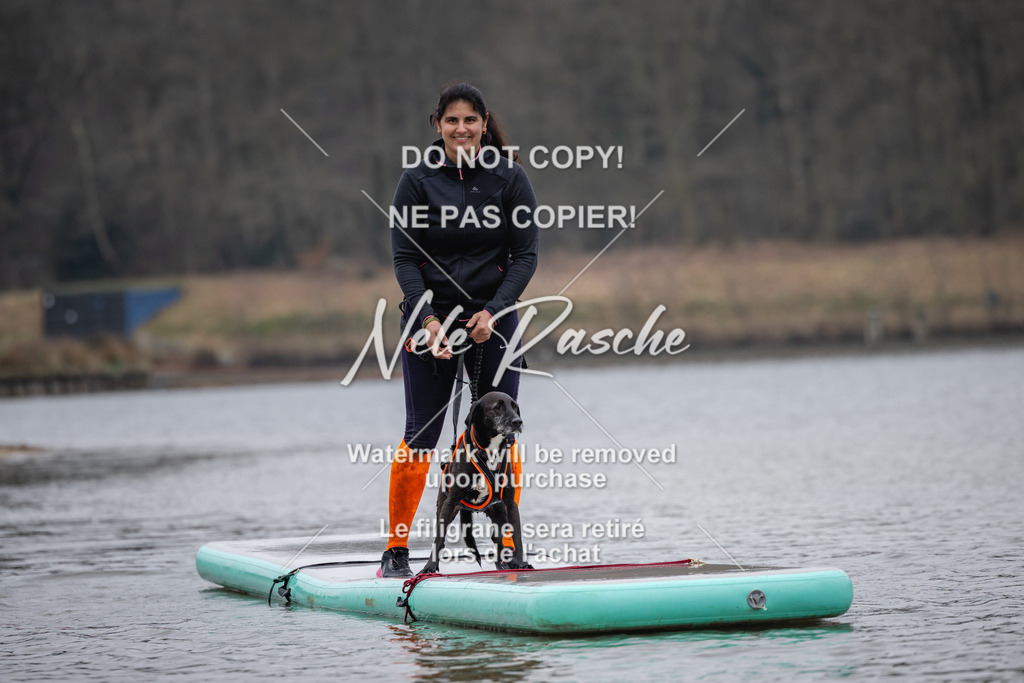nelerasche_Hulsbeek_Sa1515-1600_219 | nelerasche