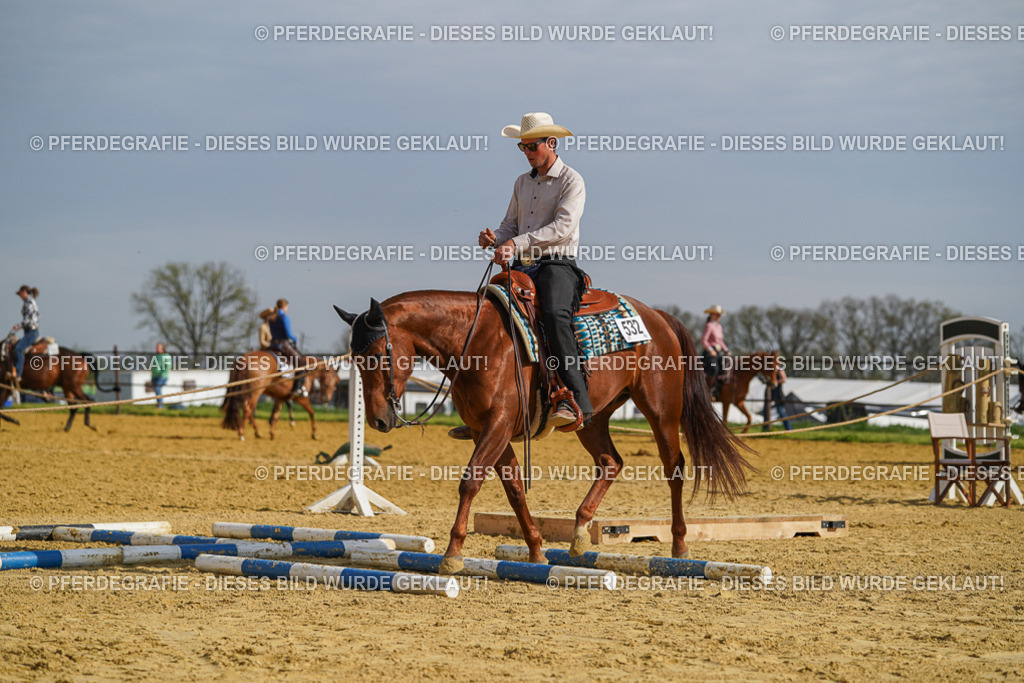 DSC01588 | Pferdegrafie