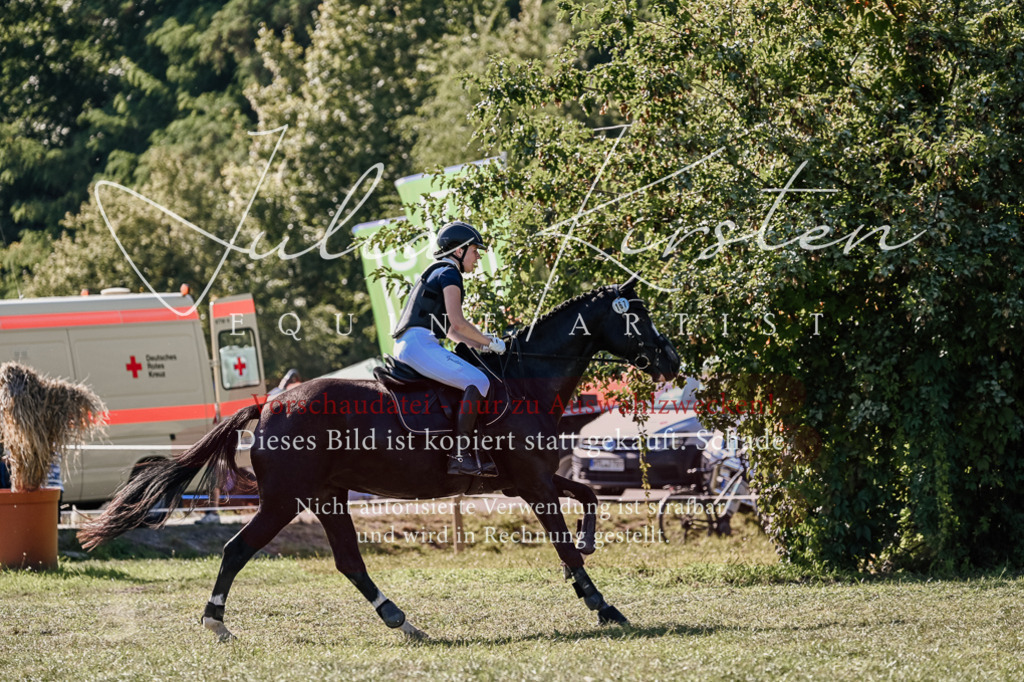 DSC_3551 | Pferde- und Turnierfotografie in Westsachsen. Pferdeportraits, Auftragszeichnungen und intuitive Kunst.