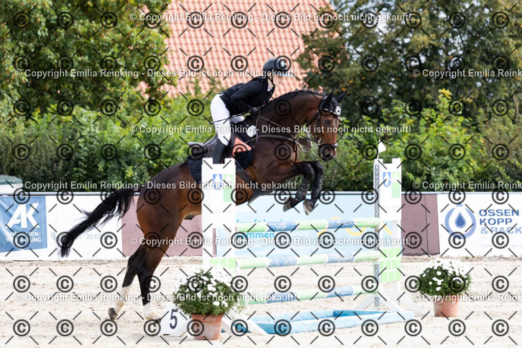 CL5A9655 | Emilia Reinking Fotografie - Realisiert mit Pictrs.com