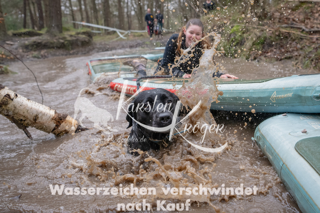 1151_ZZ94946-Bearbeitet | kk-dogfotos