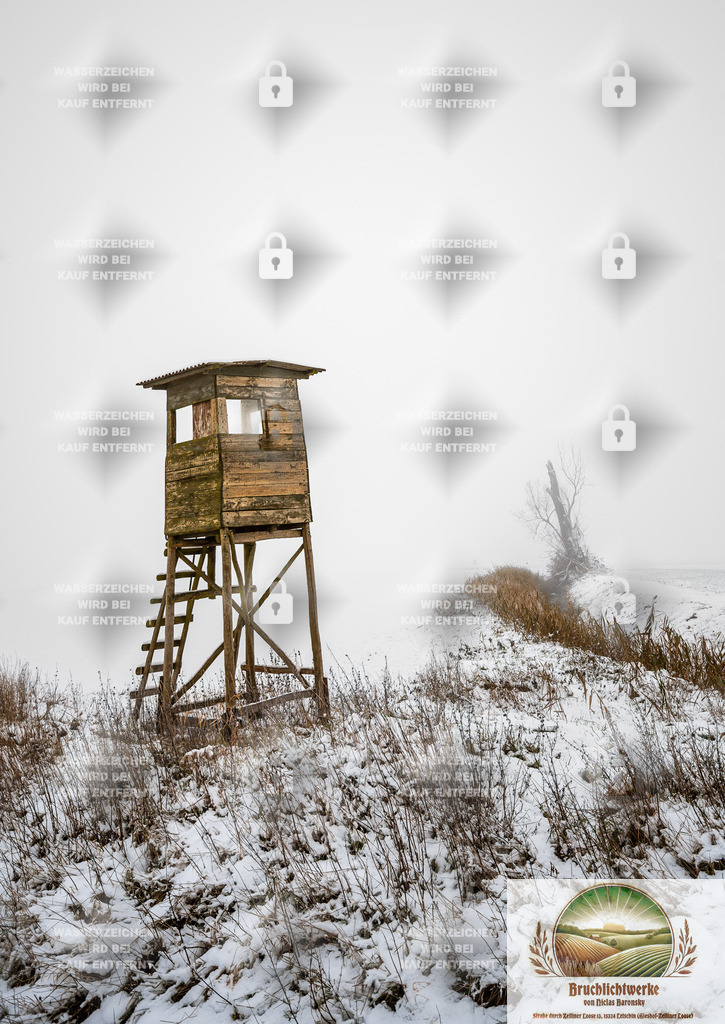 Winterjagd | Professioneller Fotograf mit 10 Jahren Erfahrung. Landschafts- und Hochzeitsfotografie im Oderbruch. Workshops und beeindruckende Bilder für besondere Momente.