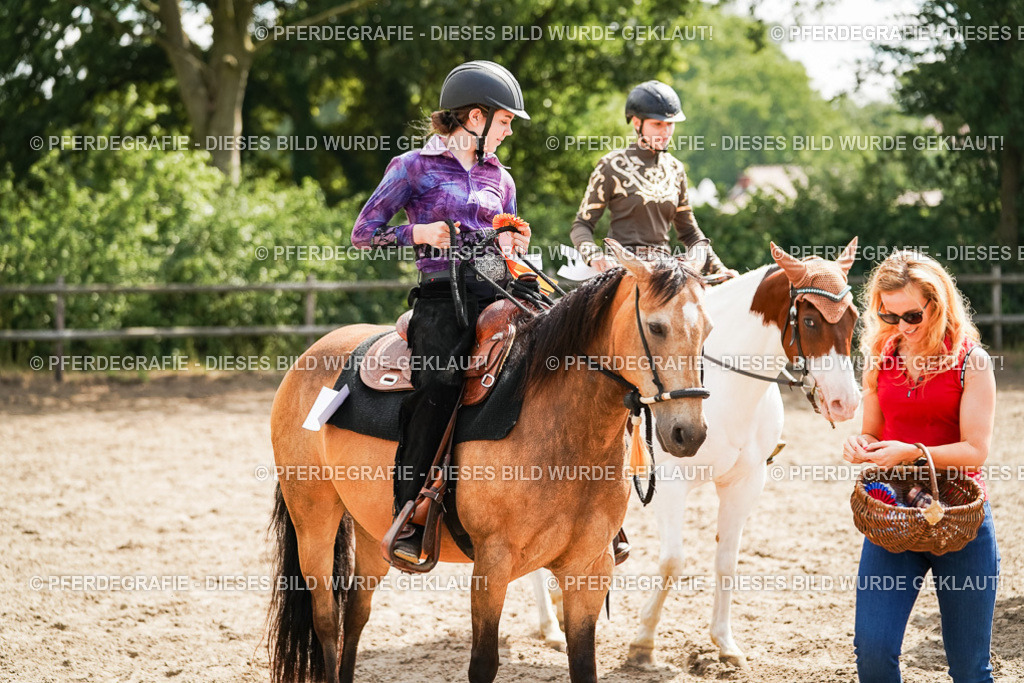 DSC05090 | Pferdegrafie