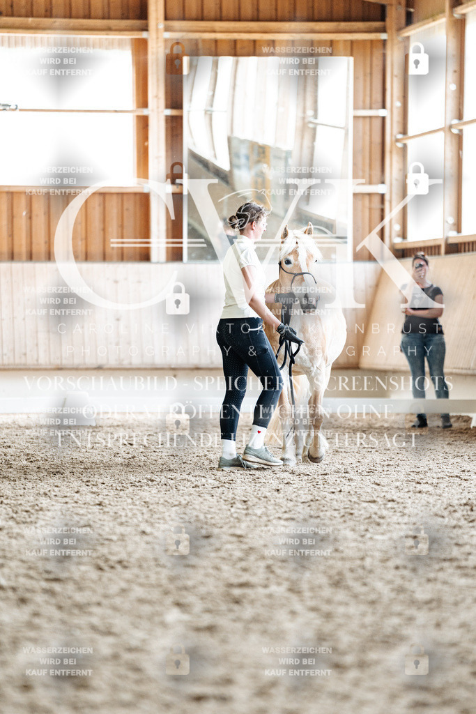 CK908563 | Turnierfotografie Pferdefotografie Trier Rheinland-Pfalz Pferdesport Reitsport Tierfotografie Sportfotografie Pferdevideo Pferdevideografie Equestrianvideography equestrianphotography  - Realisiert mit Pictrs.com
