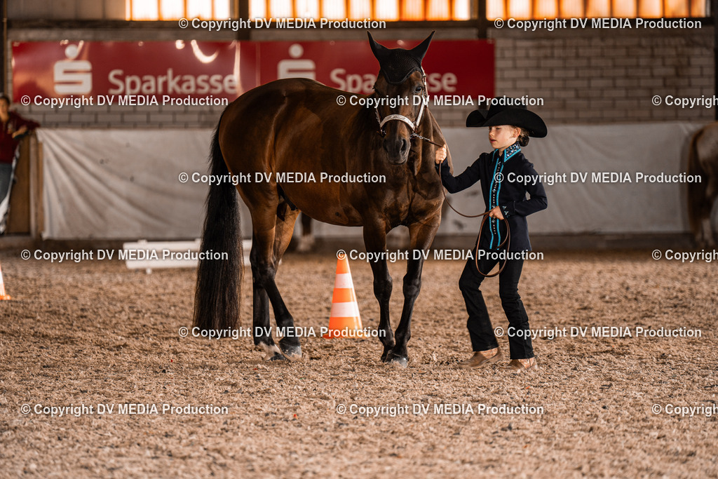 ZH100038 | dv-media-shop - Realisiert mit Pictrs.com