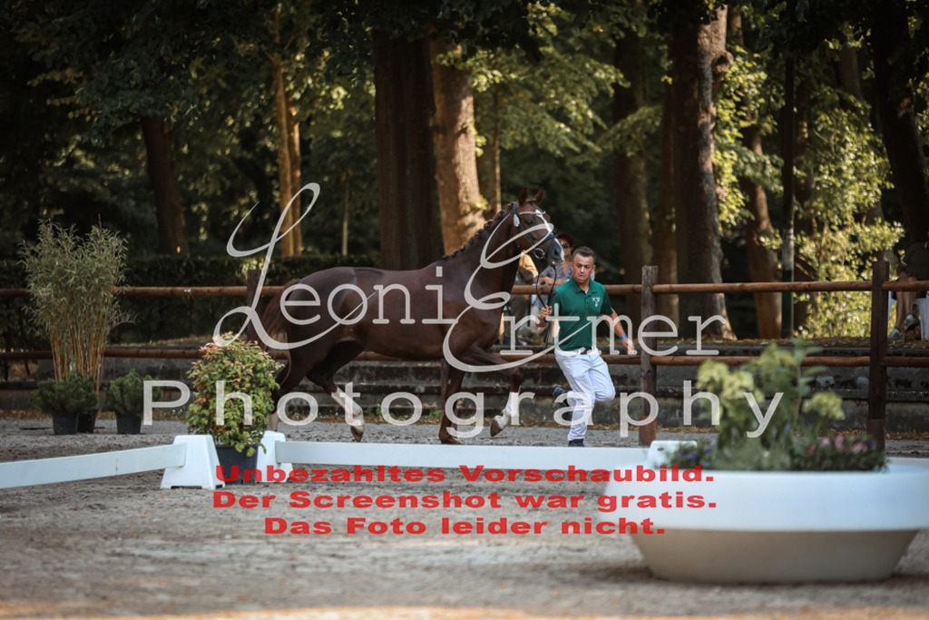DoER00008 | Leoni Ertmer Photography - Realisiert mit Pictrs.com