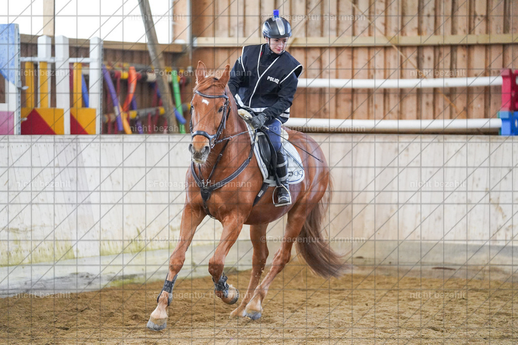 20240211-FAH01567 | Fotoagentur Herrmann, Pferdesport- und Hochzeitsfotografie, Turnierfotografen Bayern