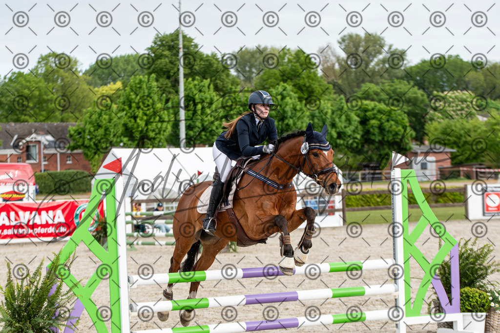 KPT_7783 | andre_photographic