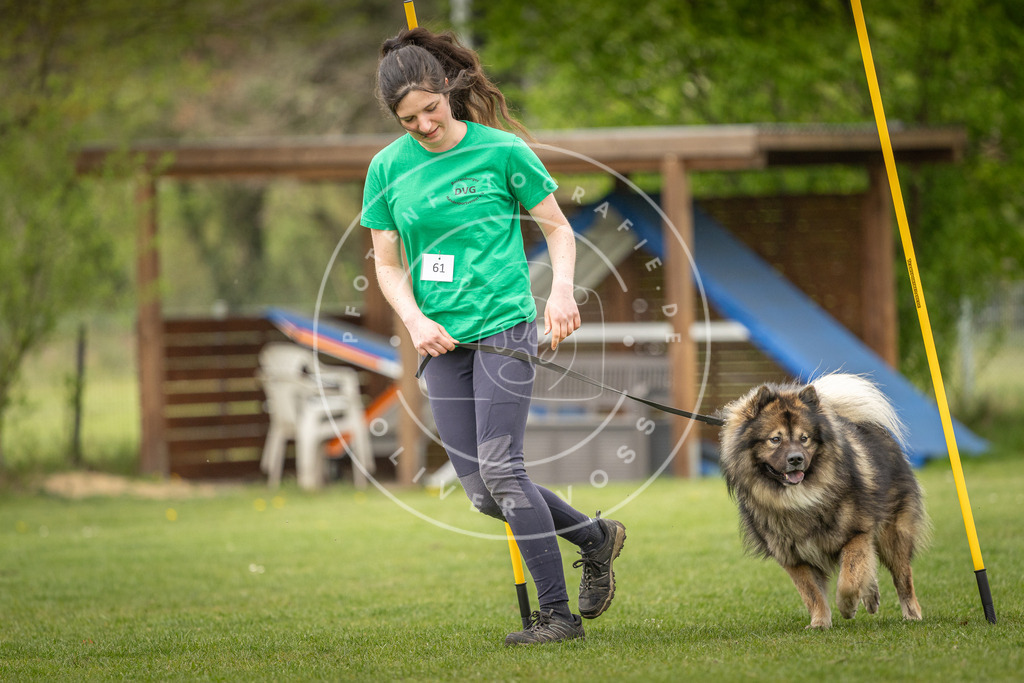 Pfotenfotografie_DV3A1727 | Hundefotografie, Tierfotograf, Pfotenfotografie, Fotoshooting Hund, Hunde Portrait, Hundesport, Hundeportraits, Heideshooting, Hunde, Sportfotograf, Hundefotograf, Turnierhundsport, THS,  - Realisiert mit Pictrs.com