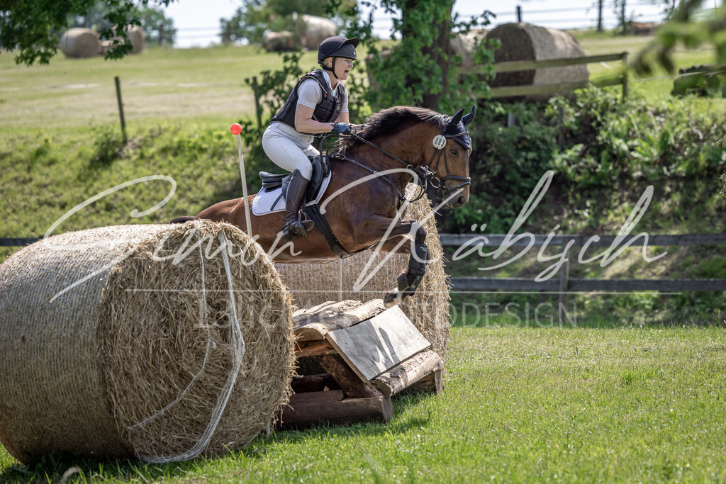 20260523-_3LI9026 | Tierfotografie Pferde, Hunde, Katzen, Haustiere.
Turnierfotografie Reitturniere, Reiten, Springreiten, Dressur in Hanau, dem Main-Kinzig-Kreis und dem Rhein-Main- Gebiet um Frankfurt
