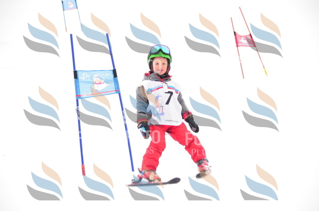 B8955 | holidayphoto