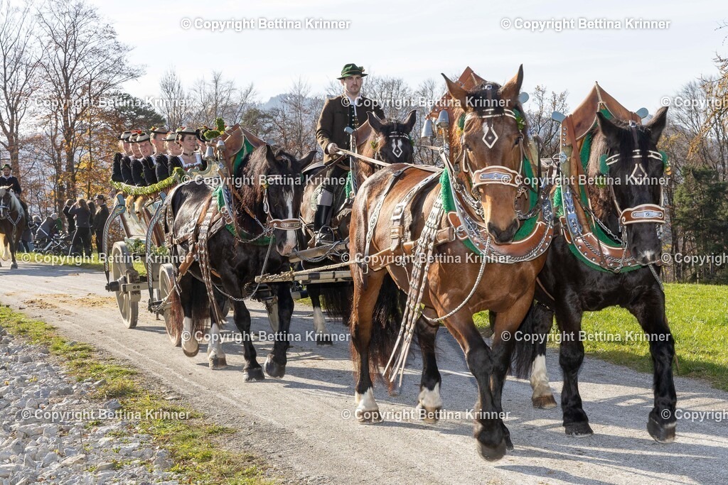 LBT24-1549 | foto-bettina-krinner - Realisiert mit Pictrs.com