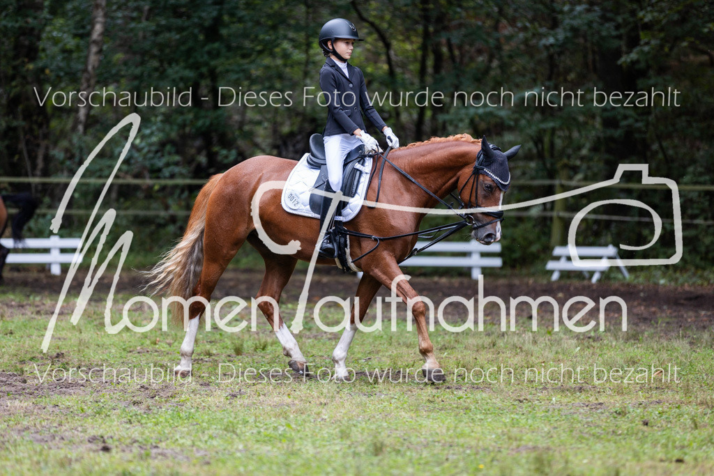 HB-Reiter-WB-077 | MomenTaufnahmen Pferdesportfotos