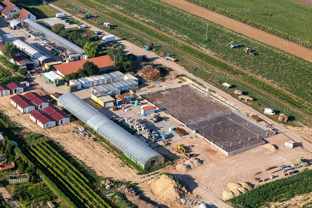 Luftbild: Kugelmann Biogemüse Neubau der Produktionshalle in Kandel im Bundesland Rheinland-Pfalz in Deutschland. Foto: IMG_122078.jpg vom 08.08.2020 durch Werner Riehm/FLY-FOTO.de