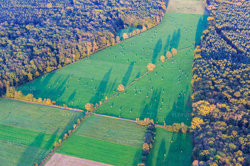 Luftbild: Gemähte Wiesen in der Otterbachniederung bei Abendlicht in Kandel im Bundesland Rheinland-Pfalz in Deutschland. Foto: IMG_074723.jpg vom 14.10.2014 durch Werner Riehm/FLY-FOTO.de