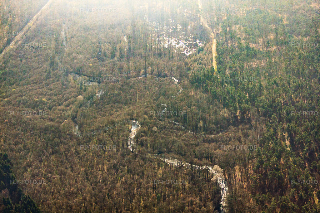 Luftbild: Zinsel im Wald im Ortsteil Ceinture Forêt Nord in Hagenau im Bundesland Bas-Rhin in Frankreich.Foto: IMG_62813.jpg vom 09.03.2014 durch Werner Riehm/FLY-FOTO.deAuflösung des Originals: 4752 x 3168 px
