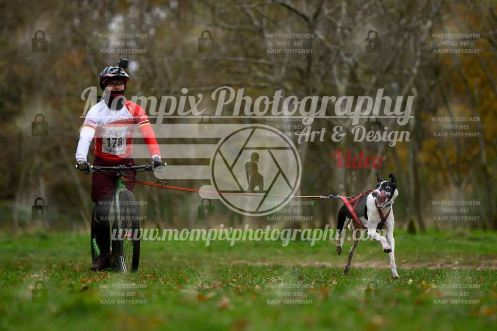 MompixPhotography_Bischwiller24_SA_DS1-19 | PayLife
