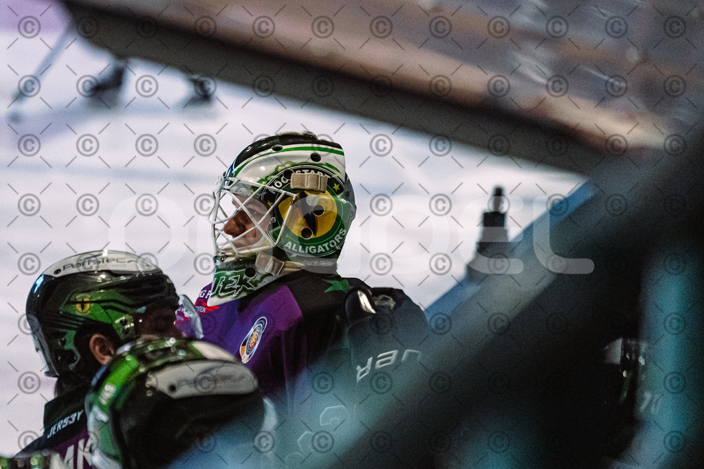 Erding_vs_Alligators_02_01_2026-02 | Höchstadt Alligators Fotogalerie: Eishockey-Action aus Franken. Professionelle Spielfotos, Portraits & Stadionbilder zum Download. Jetzt entdecken! - Realisiert mit Pictrs.com