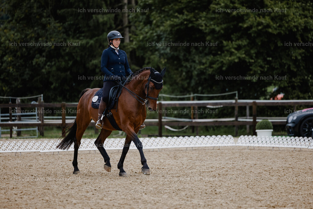 Nadine22_FHC2025-16 | working equitationturnier fotograf videograf stoibphotography marixx film working equitation deutschland reitsport turnierfotografie eventfotografie equestrian events