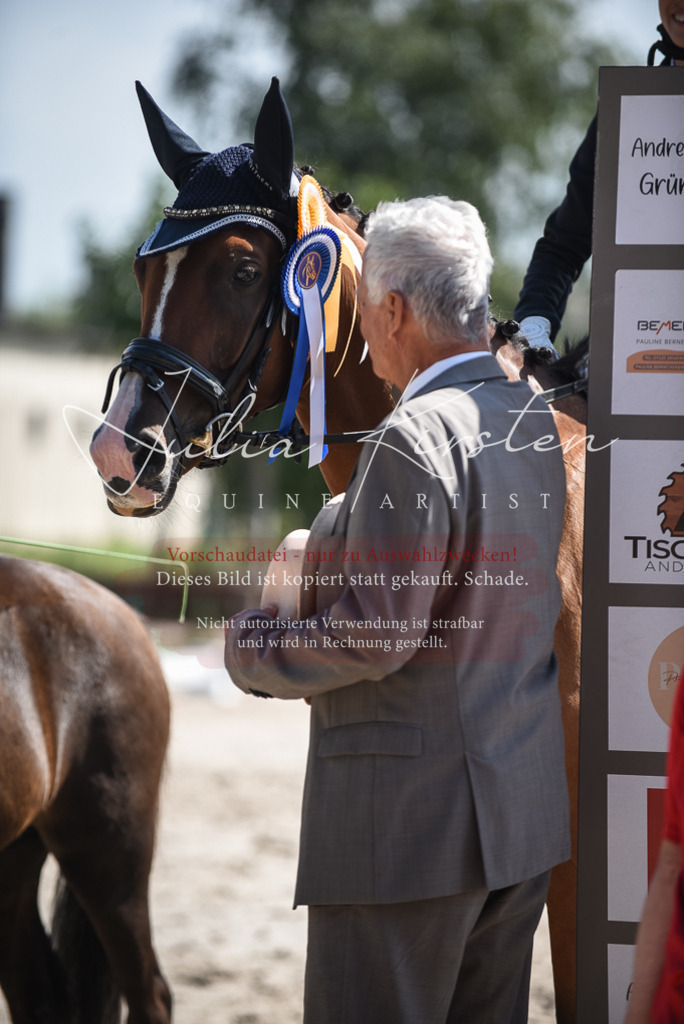 DSC_8761 | Pferde- und Turnierfotografie in Westsachsen. Pferdeportraits, Auftragszeichnungen und intuitive Kunst.
