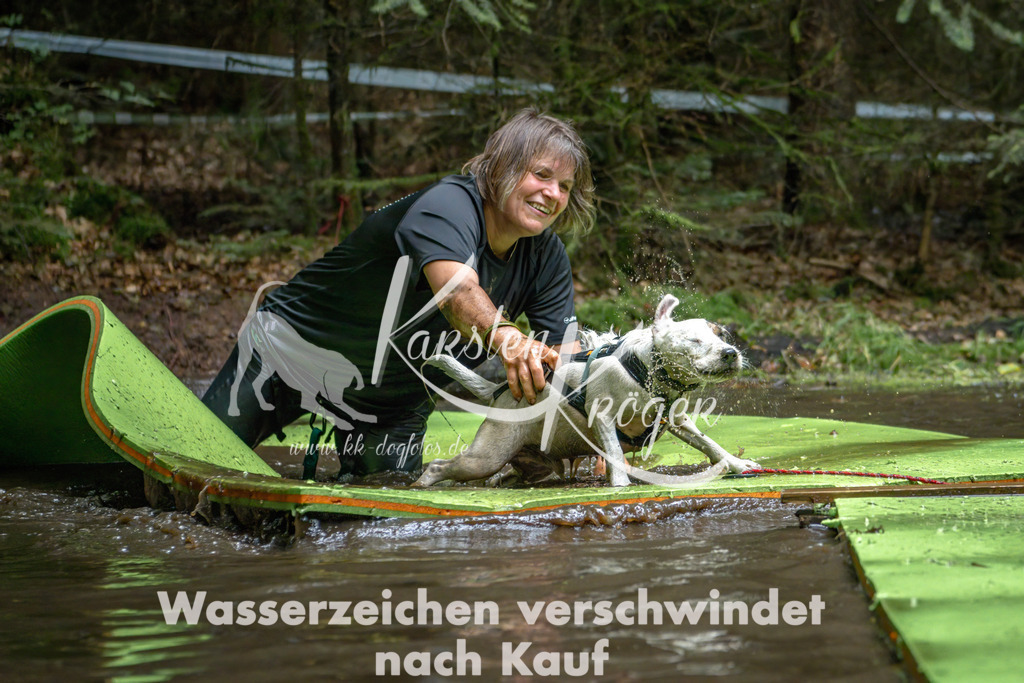 1512_ZZ94740-Bearbeitet | kk-dogfotos