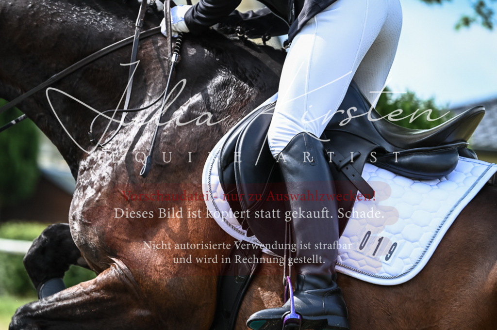 DSC_8324 | Pferde- und Turnierfotografie in Westsachsen. Pferdeportraits, Auftragszeichnungen und intuitive Kunst.