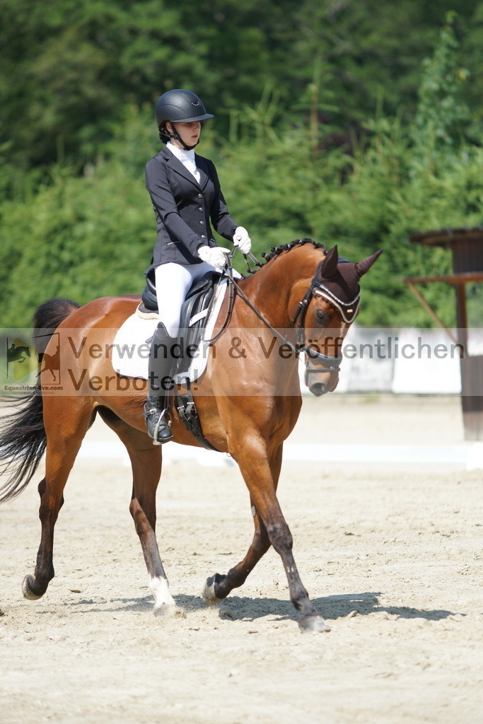 DSC01618 | equestrian-live-com