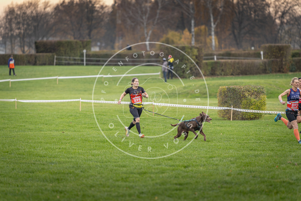 CaniXpix_DV3A6602 | Hundefotografie, Tierfotograf, Pfotenfotografie, Fotoshooting Hund, Hunde Portrait, Hundesport, Hundeportraits, Heideshooting, Hunde, Sportfotograf, Hundefotograf, Turnierhundsport, THS,  - Realisiert mit Pictrs.com