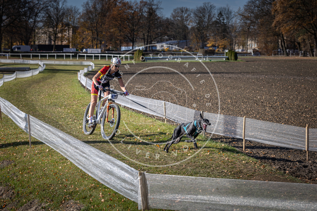 CaniXpix_DV3A7473 | Hundefotografie, Tierfotograf, Pfotenfotografie, Fotoshooting Hund, Hunde Portrait, Hundesport, Hundeportraits, Heideshooting, Hunde, Sportfotograf, Hundefotograf, Turnierhundsport, THS,  - Realisiert mit Pictrs.com