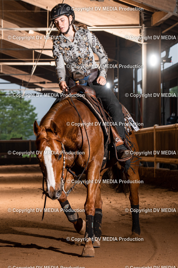 Erbach Tag 3-860 | dv-media-shop - Realisiert mit Pictrs.com