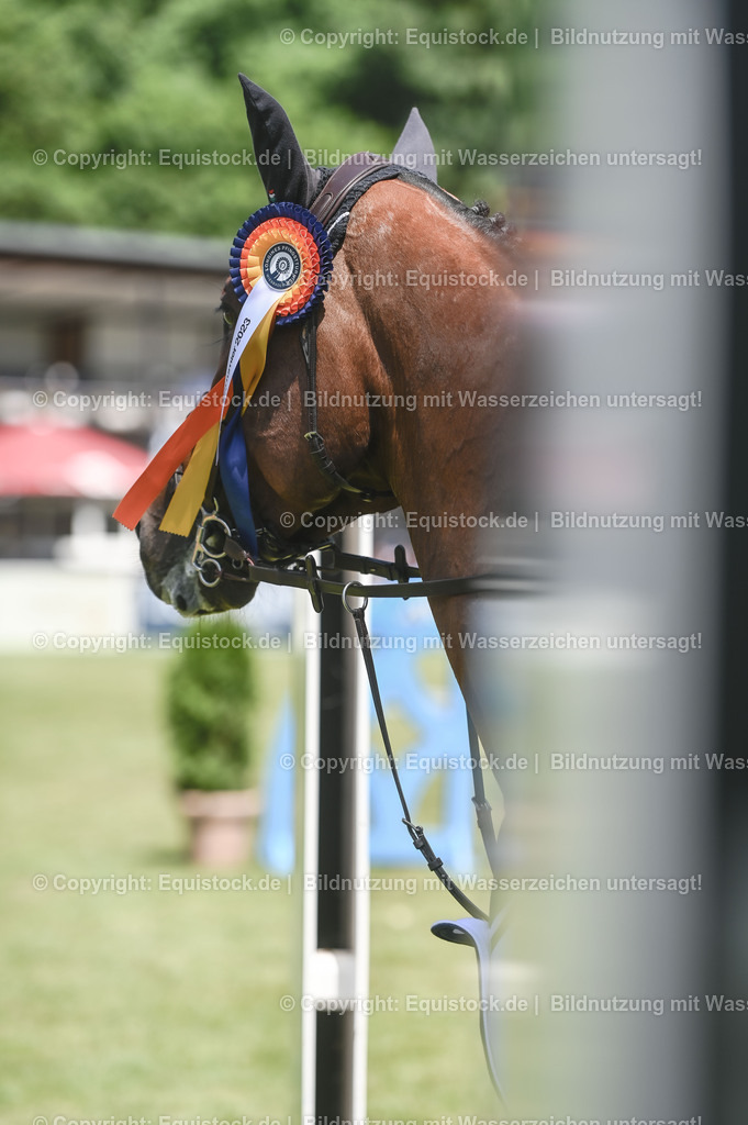 20230529_18_CSI4_Obermayr_0171 | equistock