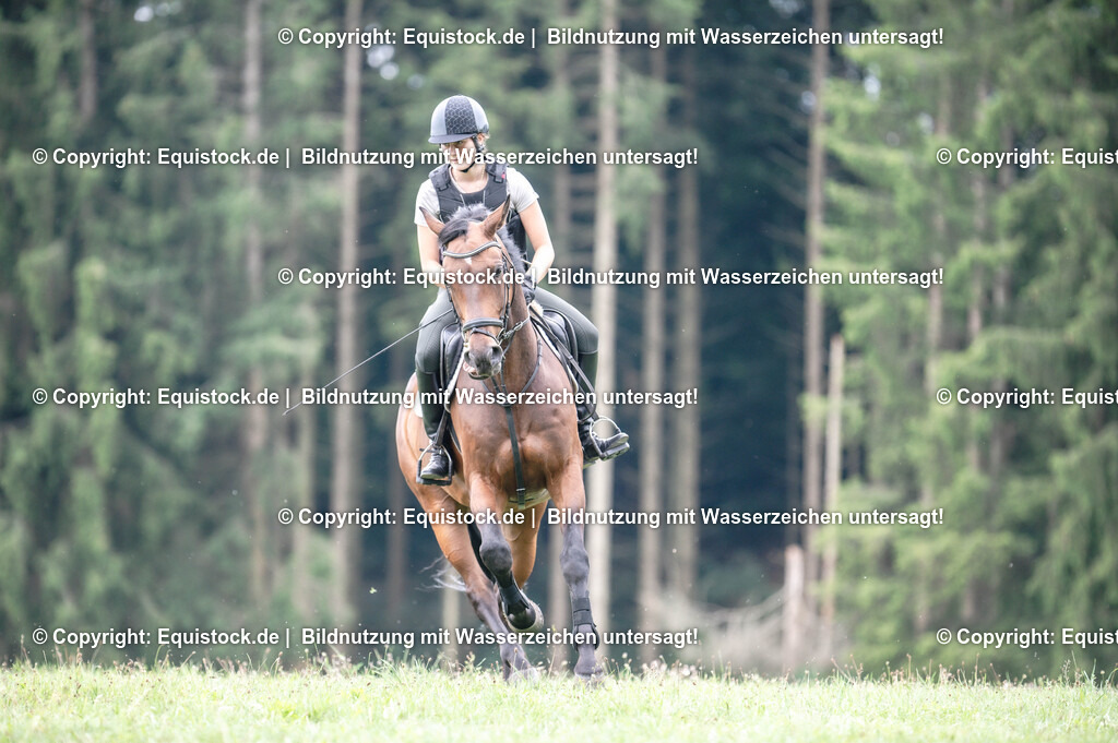 20250726_Vielseitigkeitslehrgang-Marbach_0657 | Foto: Thomas Hartig