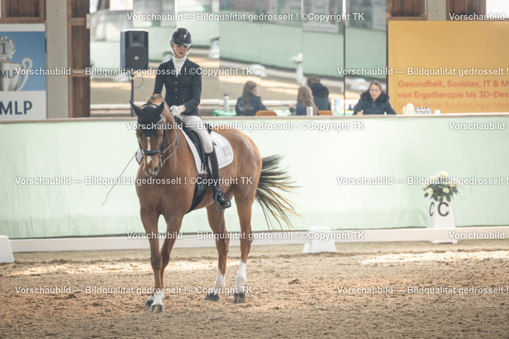 _D5A4438 | Emotionale Pferde- & People-Fotografie rund um Heidelberg, Leimen & Umgebung. Natürliche Fotos von Pferd, Mensch & Familie. Jetzt Termin sichern!