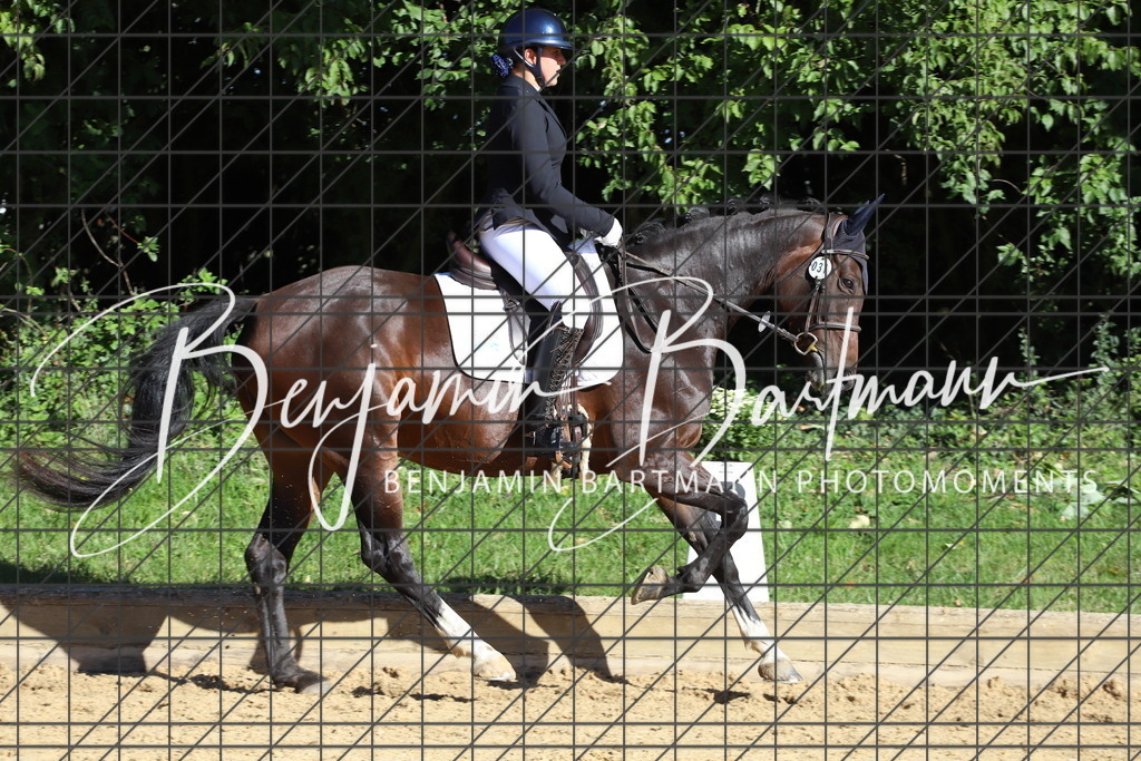 IMG_5221 | Benjamin Bartmann Photomoments