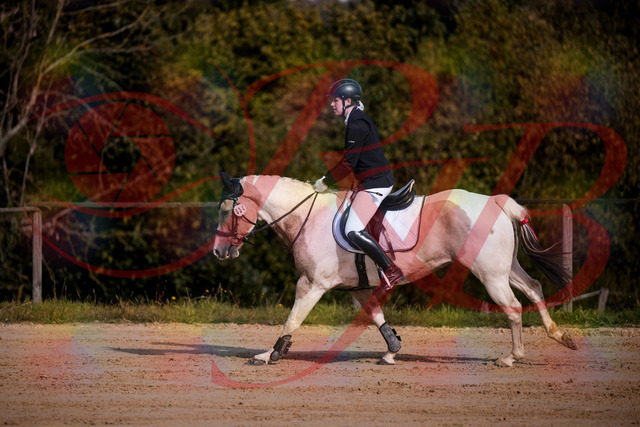2026_10_03_Siefer-Hof_144251_Z81_16143691 | Professionelle Reitsport-, Turnier- und Eventfotografie von Robert Broda. Galerien mit ausgewählten und bearbeiteten Bildern direkt online ansehen und bestellen.