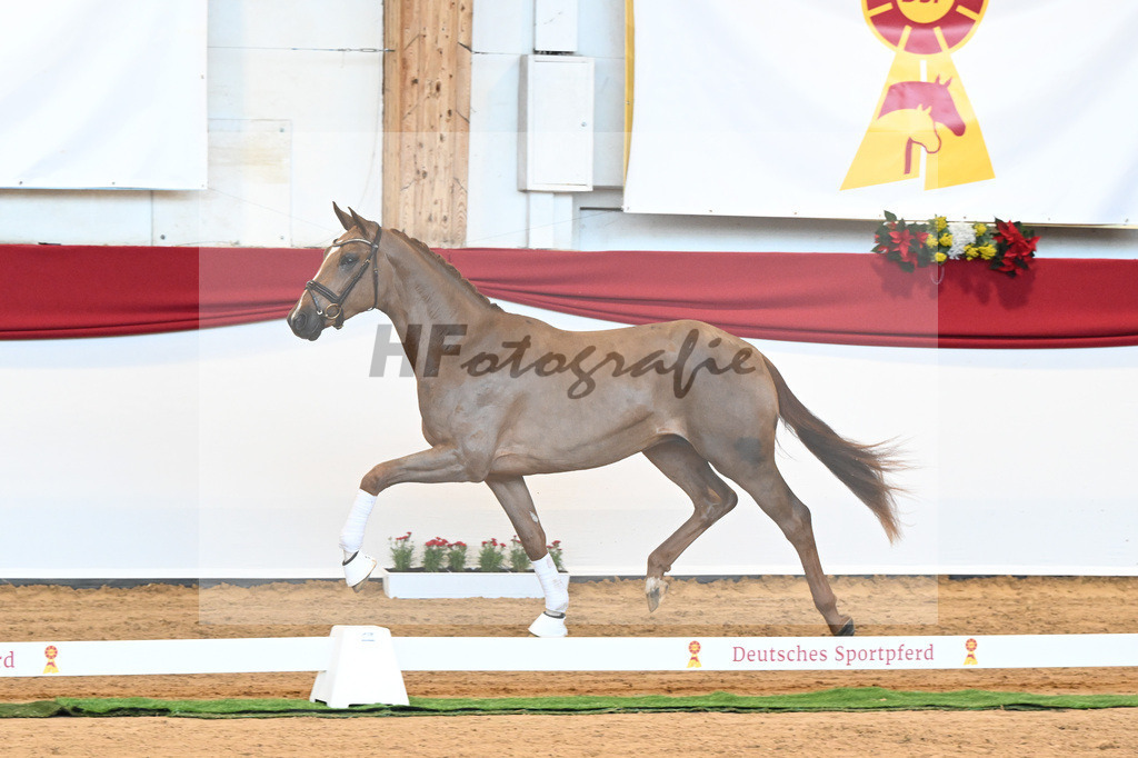 Kat-Nr. 18 D cinzano x Frenchman II_Heinrich_43230208 | hf-fotografie - Realisiert mit Pictrs.com