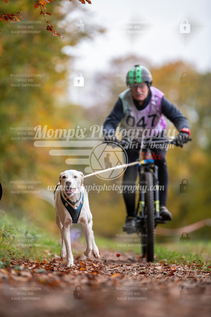 DBT_DAKM_SA_4_11_2023_Bike-74 | PayLife