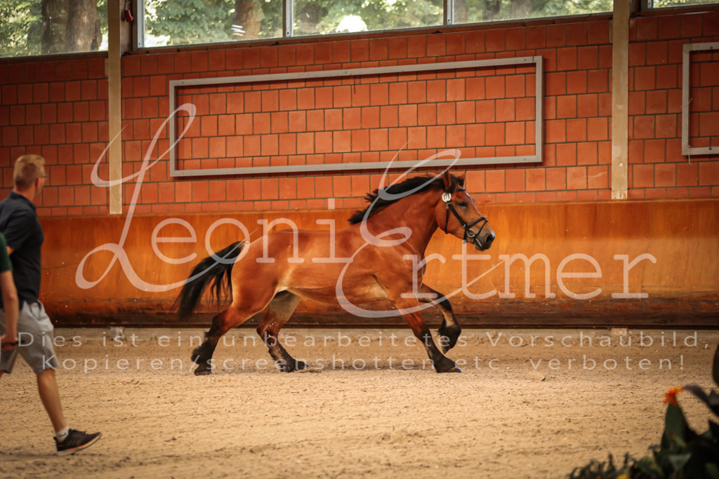 SaFL00032 | Leoni Ertmer Photography - Realisiert mit Pictrs.com