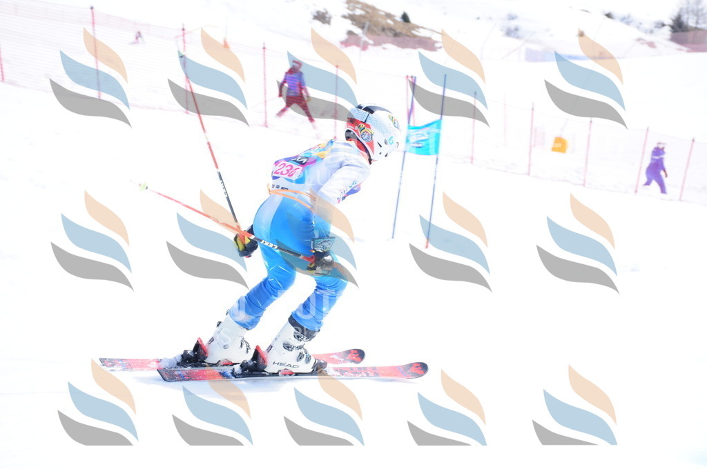 DSC_6105 | holidayphoto