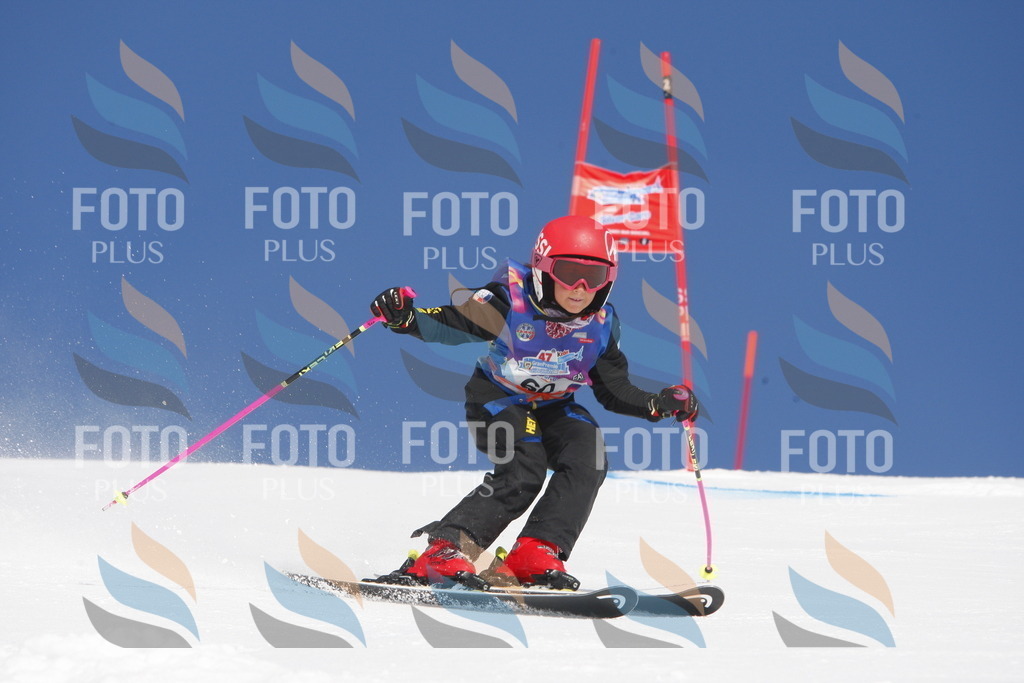 _W1G0884 | holidayphoto