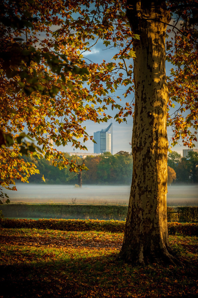 Motiv_50_3712 x 5568_Z50_1834 | wandbilder-leipzig - Realisiert mit Pictrs.com