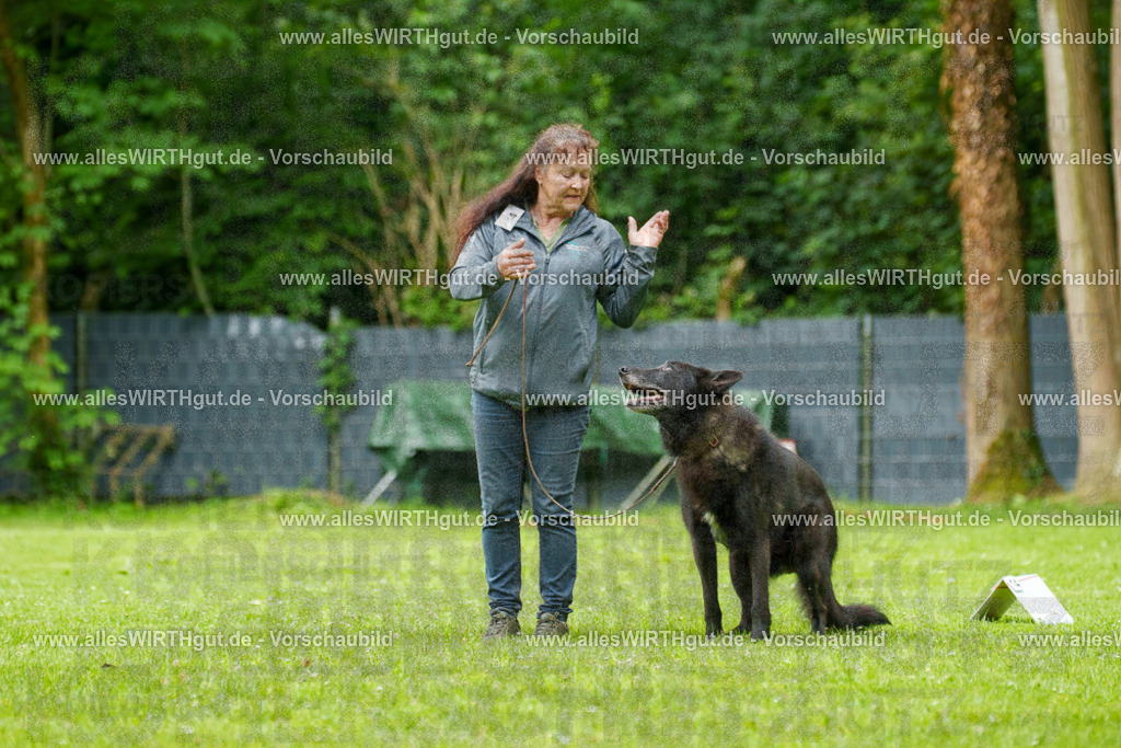 @allesWIRTHgut_Tierfotografie - www.allesWIRTHgut.de - 135628-7R500209 | Professionelle Tierfotografie in Mönchengladbach von Daniel Wirth (allesWIRTHgut). Liebevolle & natürliche Bilder von Hunden & Katzen für unvergessliche Erinnerungen.