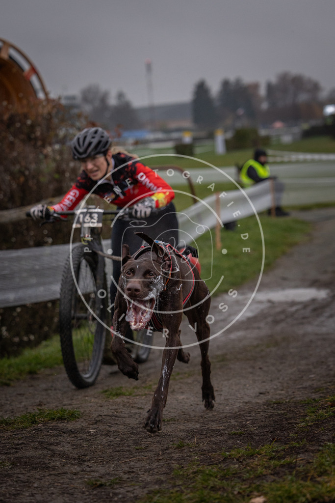 CaniXpix_0L8A0282 | Hundefotografie, Tierfotograf, Pfotenfotografie, Fotoshooting Hund, Hunde Portrait, Hundesport, Hundeportraits, Heideshooting, Hunde, Sportfotograf, Hundefotograf, Turnierhundsport, THS,  - Realisiert mit Pictrs.com
