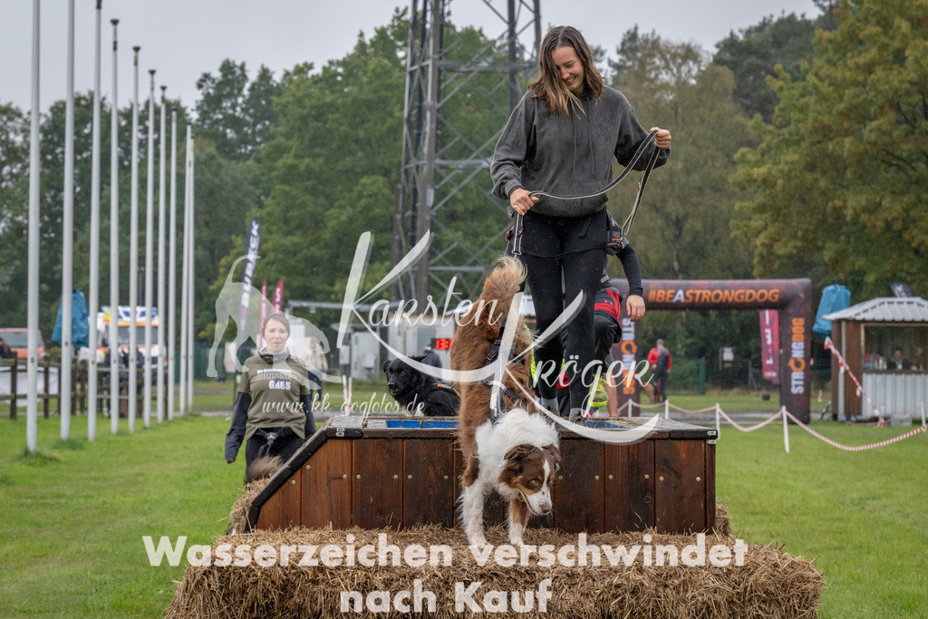 1333-93880 | kk-dogfotos