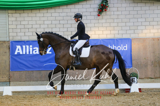 IMG_2708 | Turnierfotos kaufen im Webshop von Daniel Kuhl Photography – entdecke professionelle Reitsportfotos aus Turnieren & Events. Hochwertige Turnierbilder online bestellen & sichern. Jetzt Fotos von Reitsportturnieren kaufen!