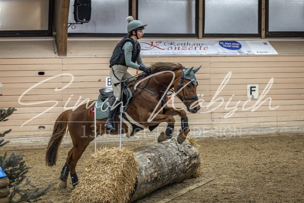 20260222-_3LI1001 | Tierfotografie Pferde, Hunde, Katzen, Haustiere.
Turnierfotografie Reitturniere, Reiten, Springreiten, Dressur in Hanau, dem Main-Kinzig-Kreis und dem Rhein-Main- Gebiet um Frankfurt
