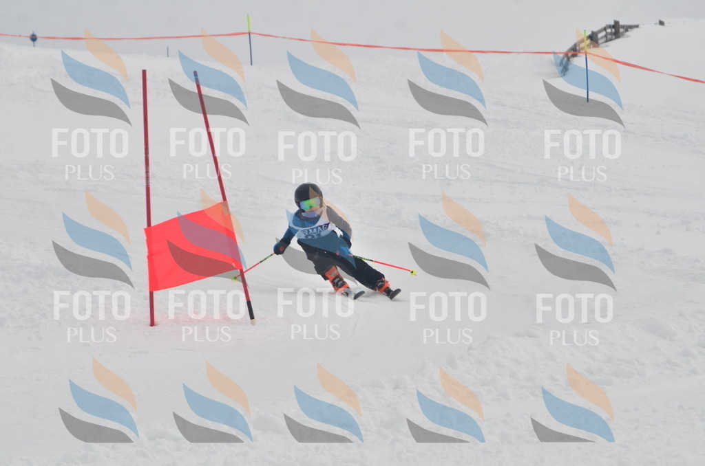 A5162 | holidayphoto